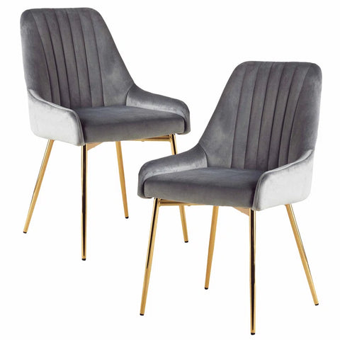 Metal Frame Velvet Fabric Cafe Dining Chairs (Set of 2)